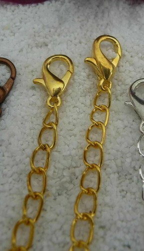 Karabiner mit